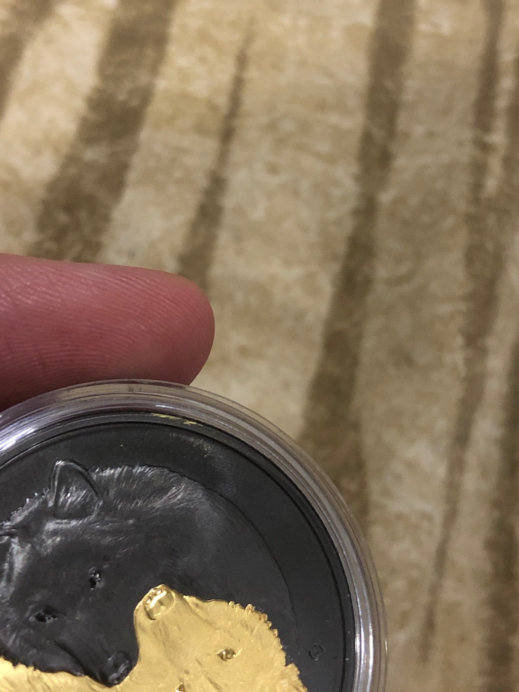 Is-This-Damage-Or-A-Mint-Error-On-The-2021-$20-Grey-Wolf-Coin?