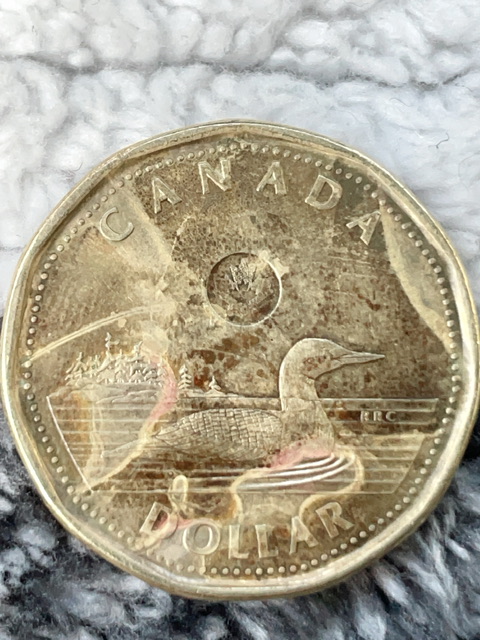 2022-Loonie---ErrorS