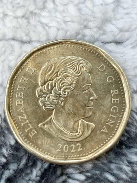 2022-Loonie---ErrorS