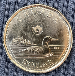 Asking-For-Help-With-This-2022-Loonie