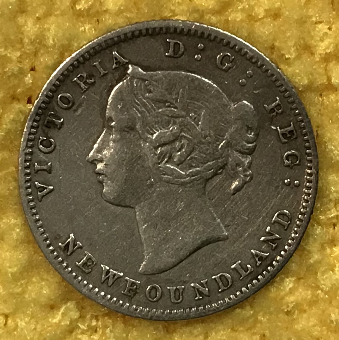 1881-Newfoundland-5-Cents