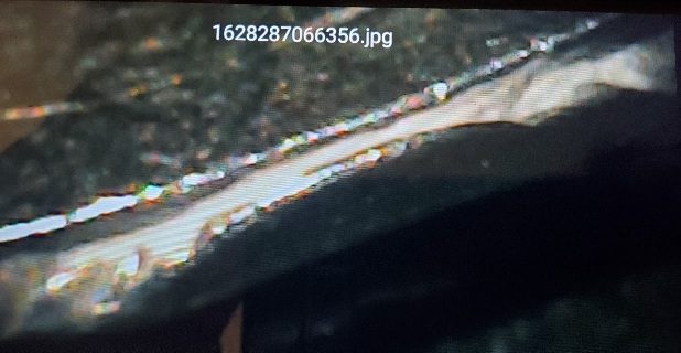 Jefferson-Nickel-Circling-Back-On-This.-With-More-Detailed-Pics