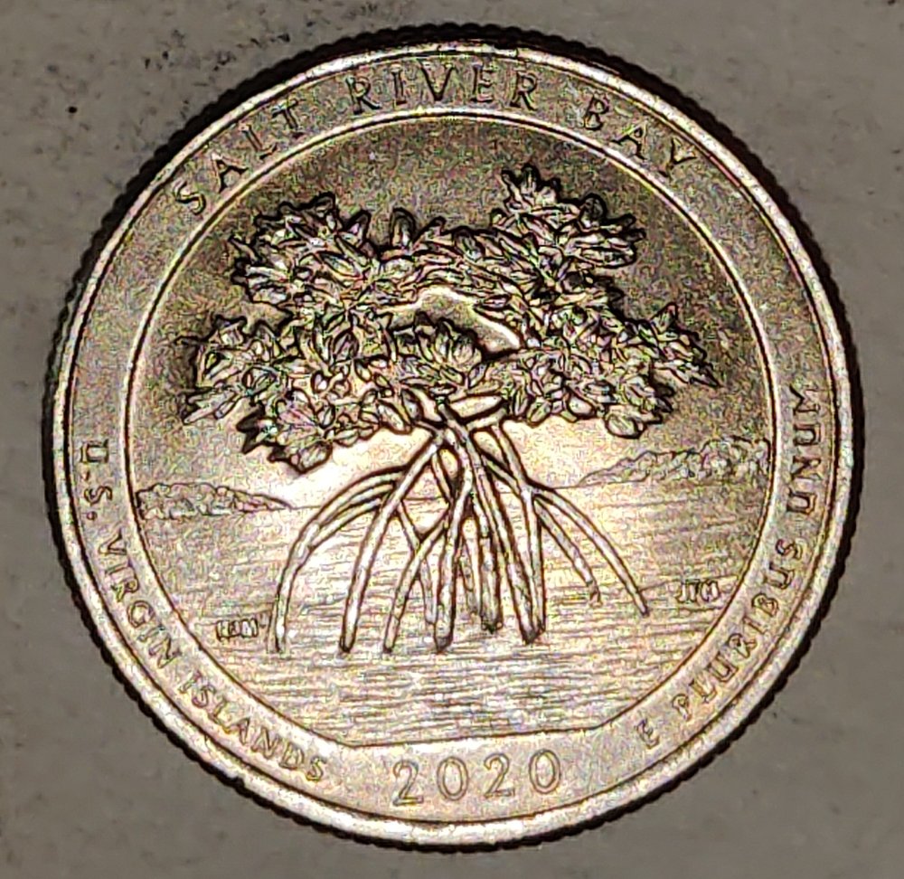 2020-P-Salt-River-Bay-Quarter-