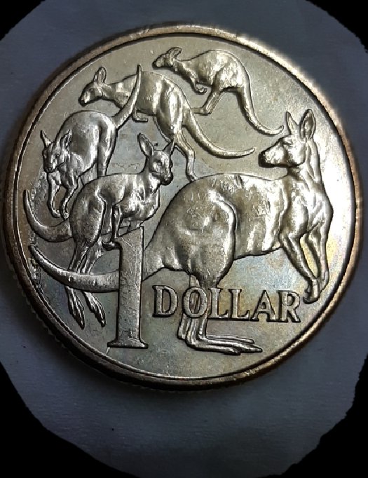 2017-$1-Coin...peel-Lamination?-Pls-Help