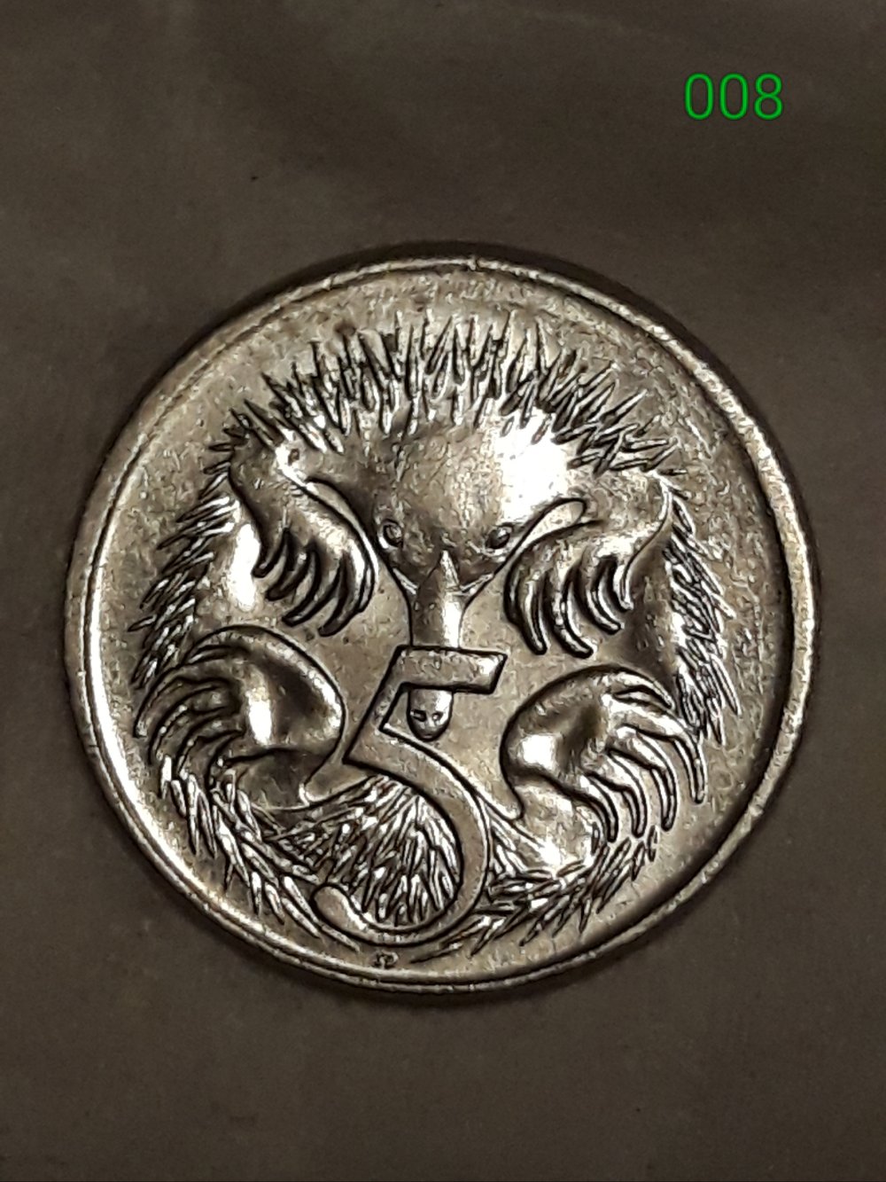 5c-Partial-Collar-Or-Something-Else?