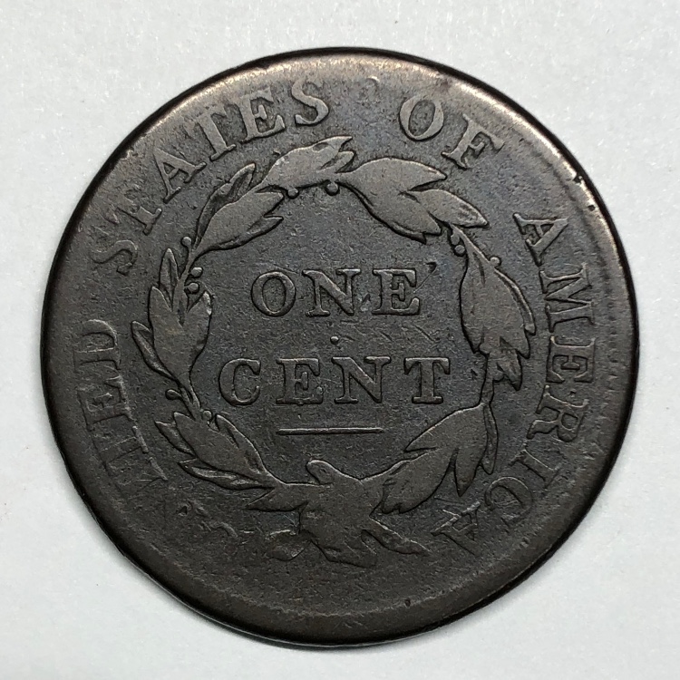 The-Varieties-Of-Classic-Head-Large-Cents