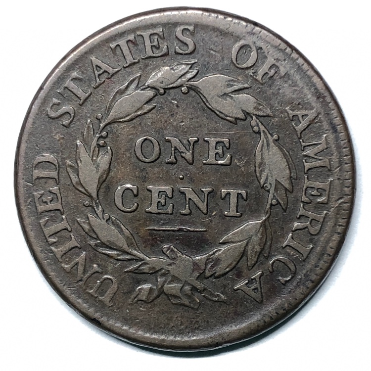 The-Varieties-Of-Classic-Head-Large-Cents