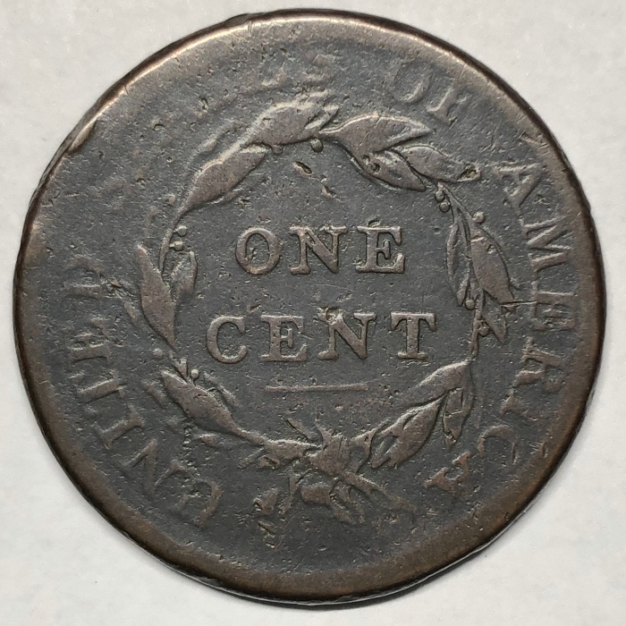 The-Varieties-Of-Classic-Head-Large-Cents