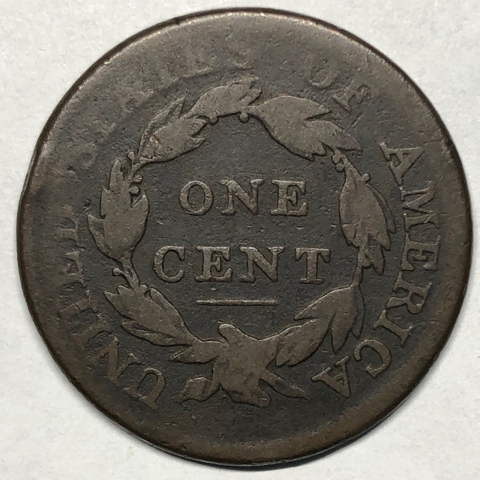 The-Varieties-Of-Classic-Head-Large-Cents
