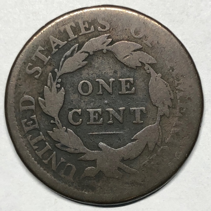 The-Varieties-Of-Classic-Head-Large-Cents