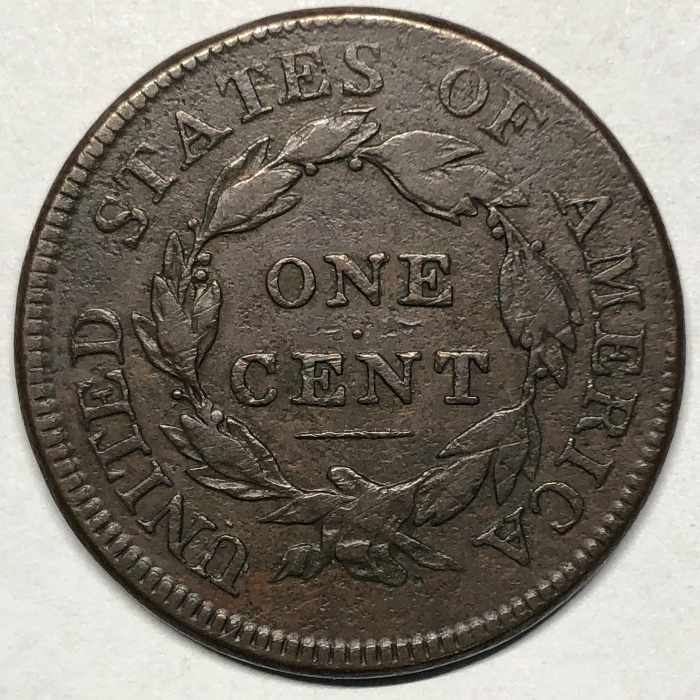 The-Varieties-Of-Classic-Head-Large-Cents