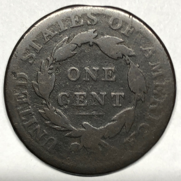 The-Varieties-Of-Classic-Head-Large-Cents