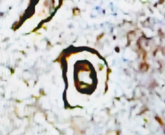1969-D-Over-S,-Floating-Roof,-And-No-FG-Please-Help!