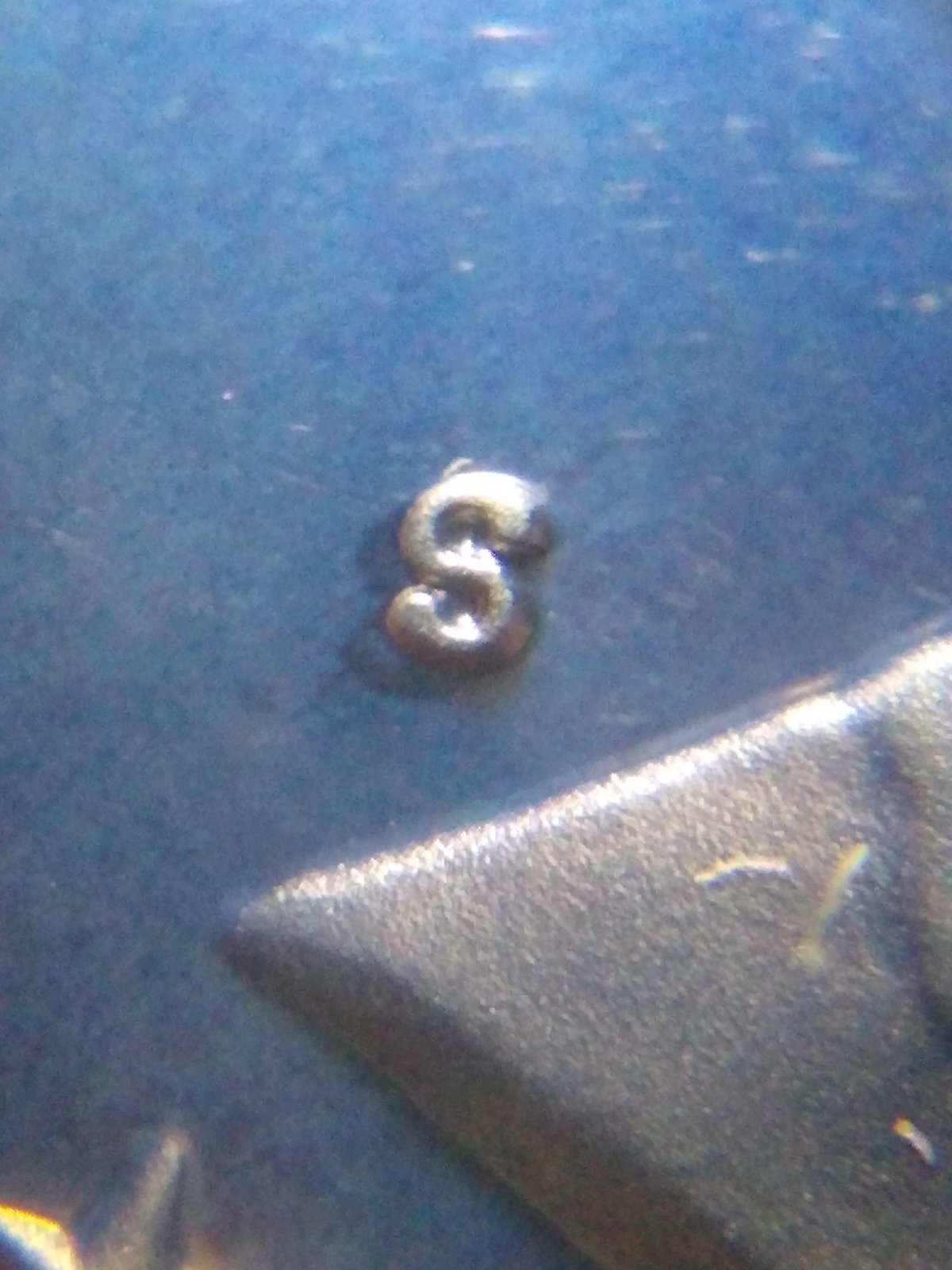 1981-Proof-Set-Type-1-Or-2-?
