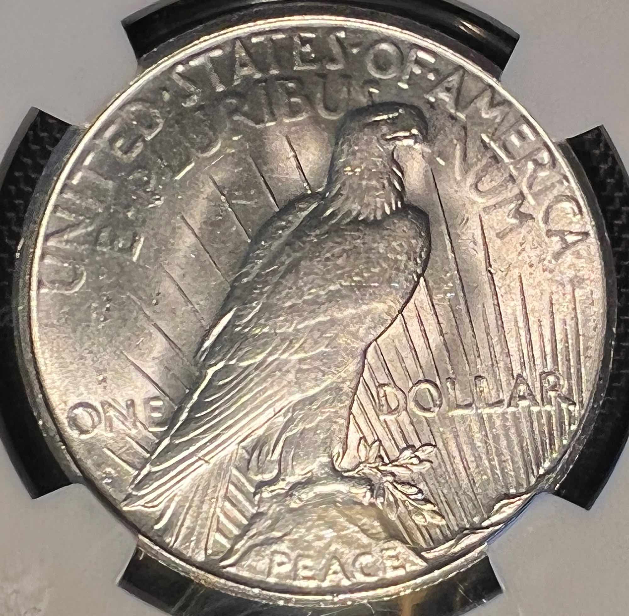 1923-S-Peace-Dollar---You-Vs-NGC