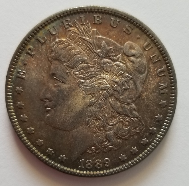 1889-Morgan-Dollar-For-Grading