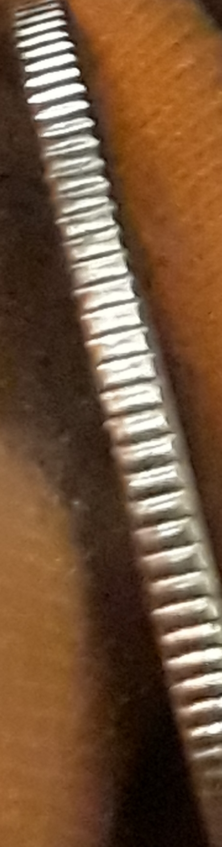 Guam-Quarter-Sounds-Like-Silver