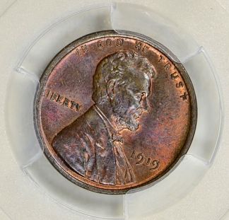 One-A-Year-Collection-Of-MS-LWC's-Completed--Is-That-A-Thing?!
