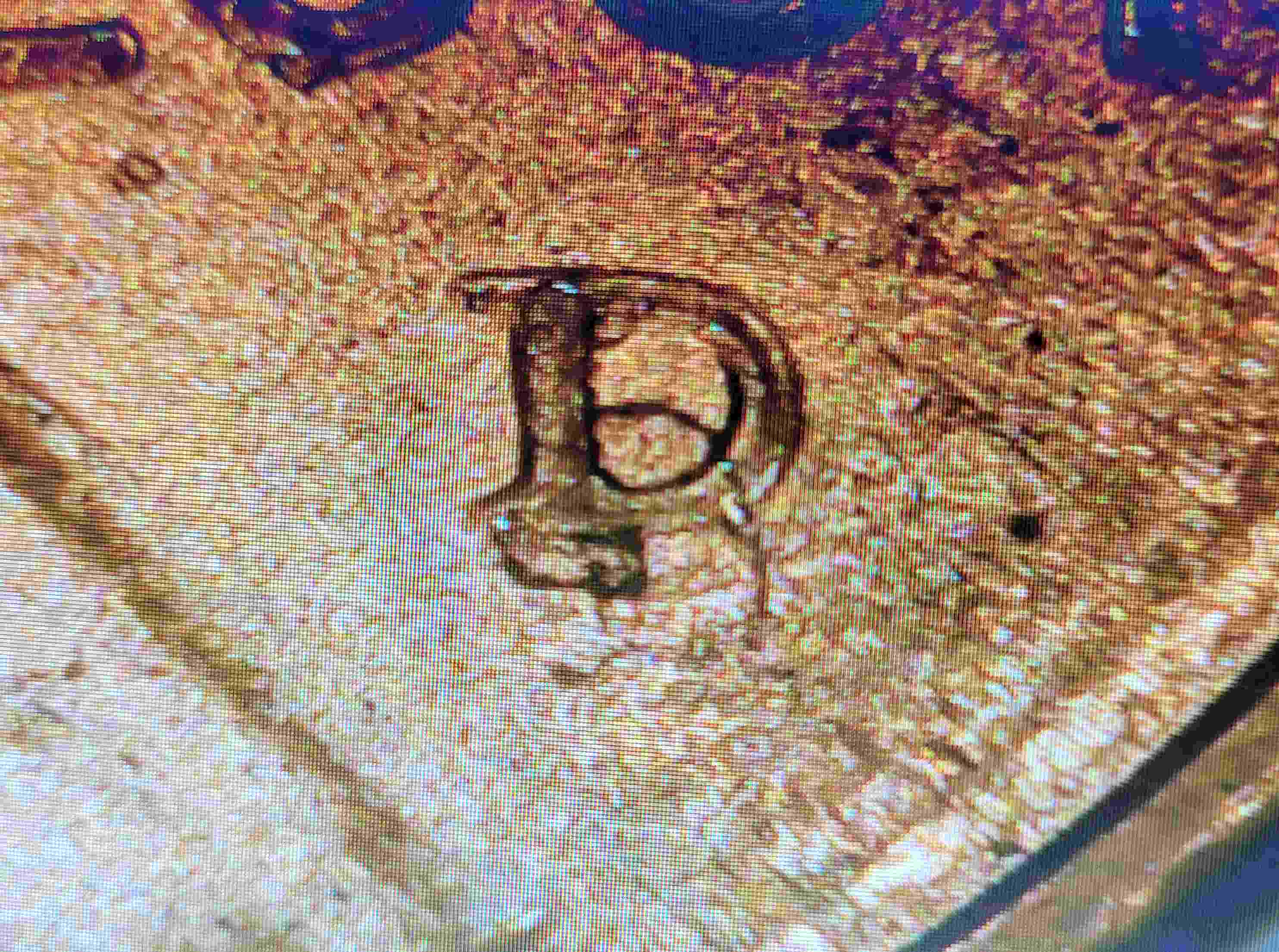 2007-D-Lincoln-Penny-Possible-Error-Under-Mint-Mark.-Help.