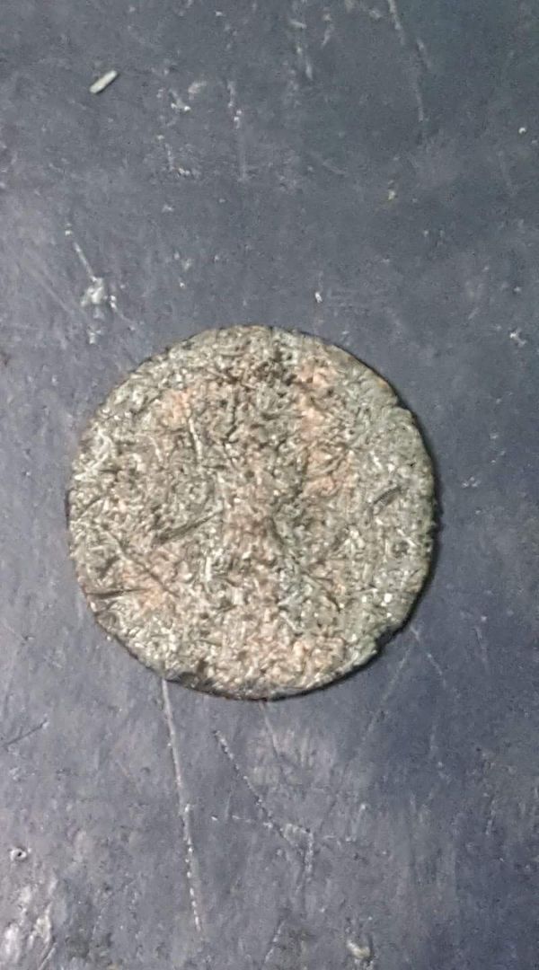 Stinkin-Lincoln-Contest!!-Post-Your-Nastiest-Zincs.