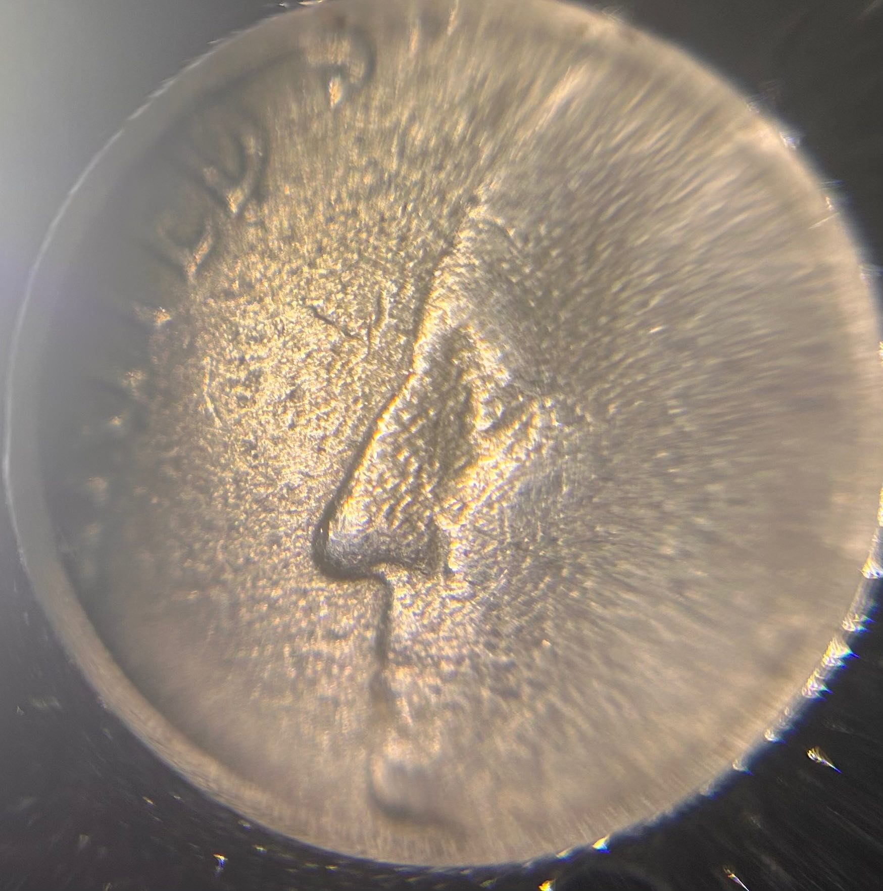 2001-Vermont-State-Quarter.-Possible-Annealing-Issue?