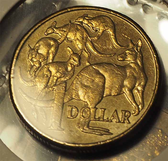 Has-Anyone-Found-Rabbit-Ears-On-A-2010-$1-Mob-Yet?