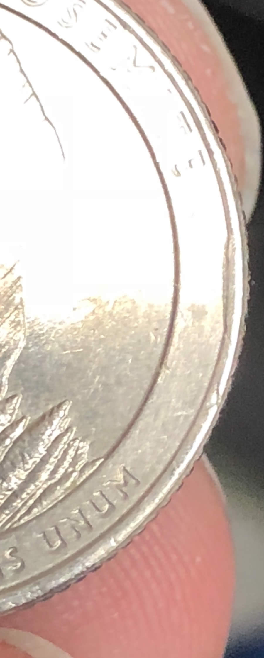 2010-P-California-ATB-Possible-Cud?