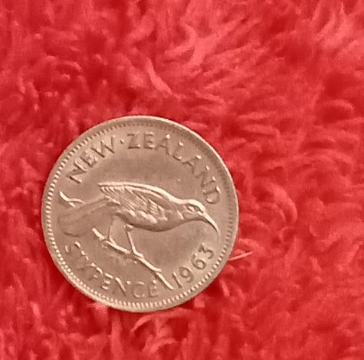 One-Of-My-Kiwi-Coins!