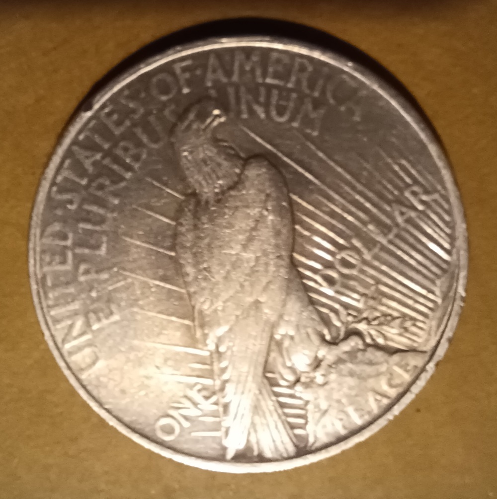 1922-Peace-Dollar-Wanting-To-Know-About-It