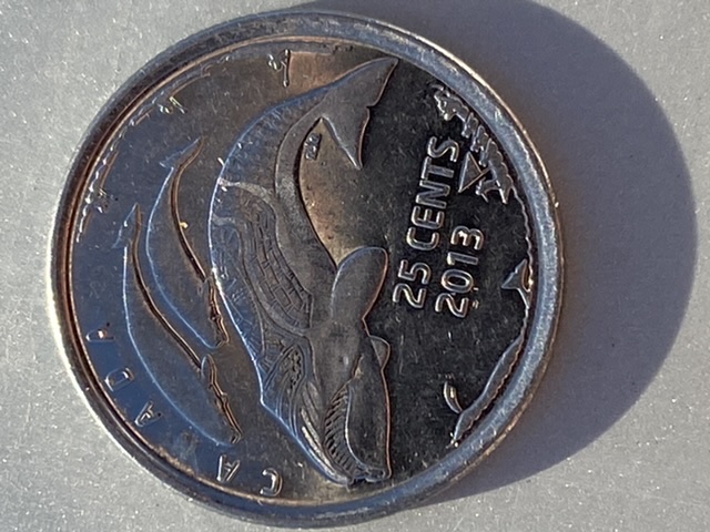 2013-Whale-25-Cents-Errors?