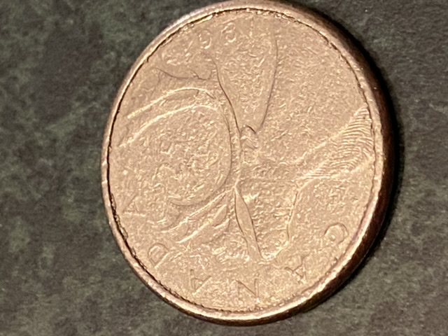 1981-Quarter-Struck-On-Nickle-Planchet?