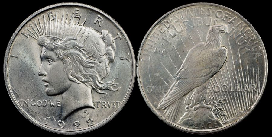 Coin-Grading-By-National-Numismatic-Certification