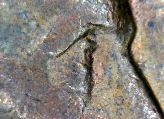 1987-P-LMC---Is-This-Eye-Normal?