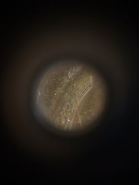 1944-Off-Center-LWC-That-Concerns-Me,-Need-Opinions-Please