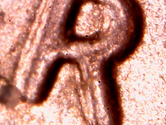 2010-Lincoln-Cent,-Is-It-A-Doubled-Die?