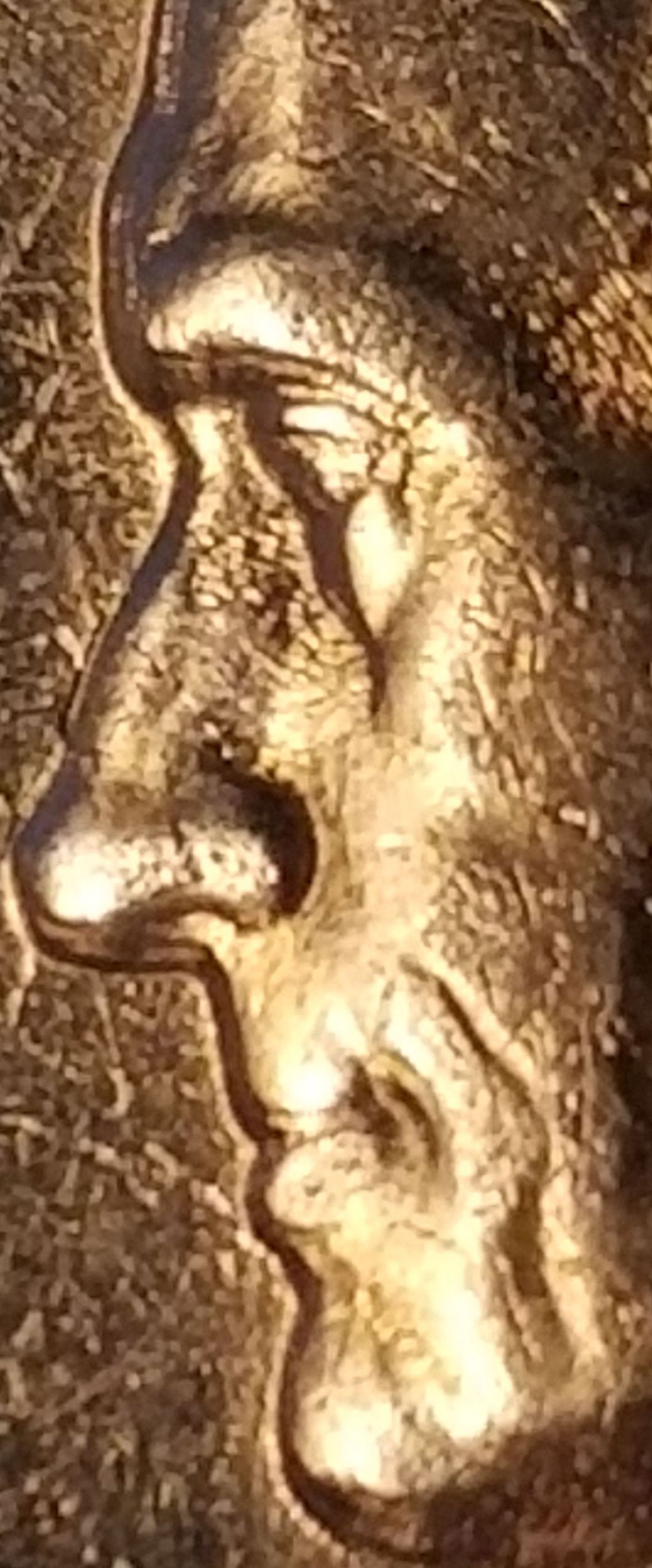 1942-P-WDDO-001-Nickel