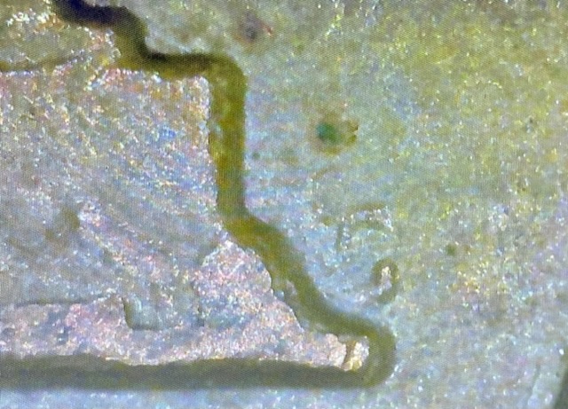 1970-S-Large-Date-Lincoln-Cent-W/-Floating-Roof