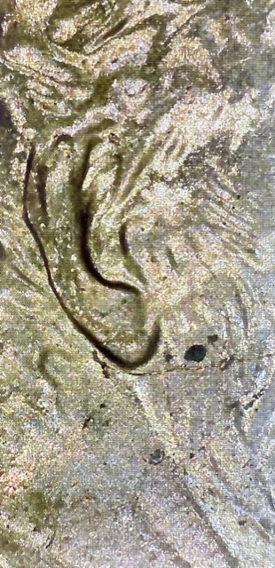 2004-Lincoln-Cent-Ear-Error?