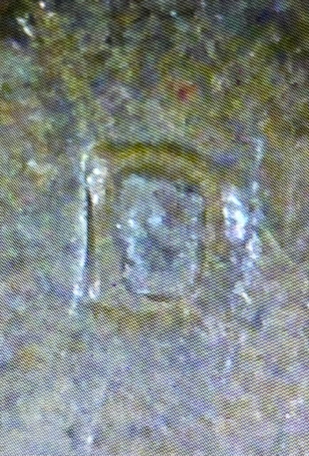 1971-D-Lincoln-Penny-Possible-RPM