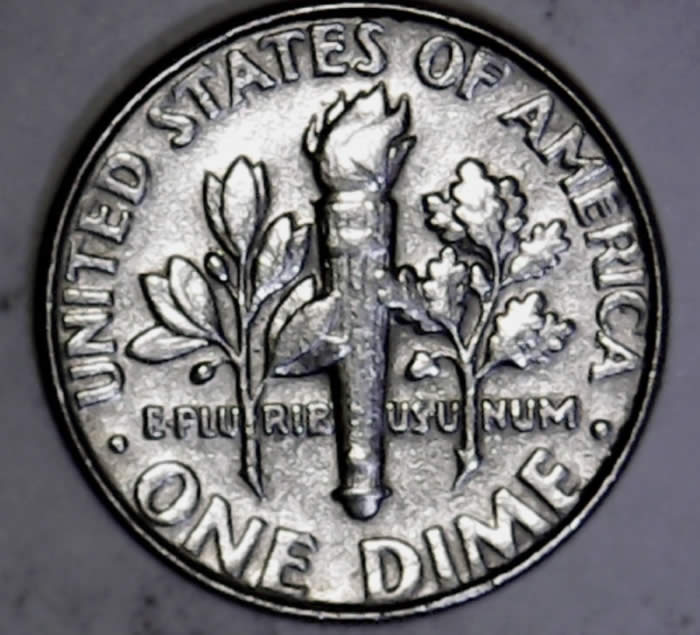 My-1-St-Dryer-Coin-2004-D-Roosie---Pretty-Cool