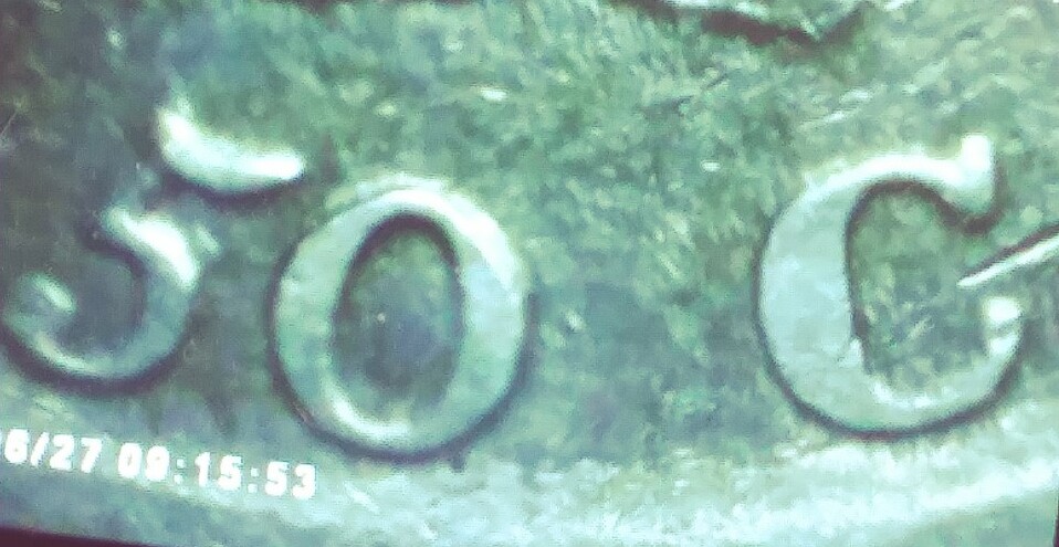 Which-Overton-#-Is-This-1813-Bust-Half?