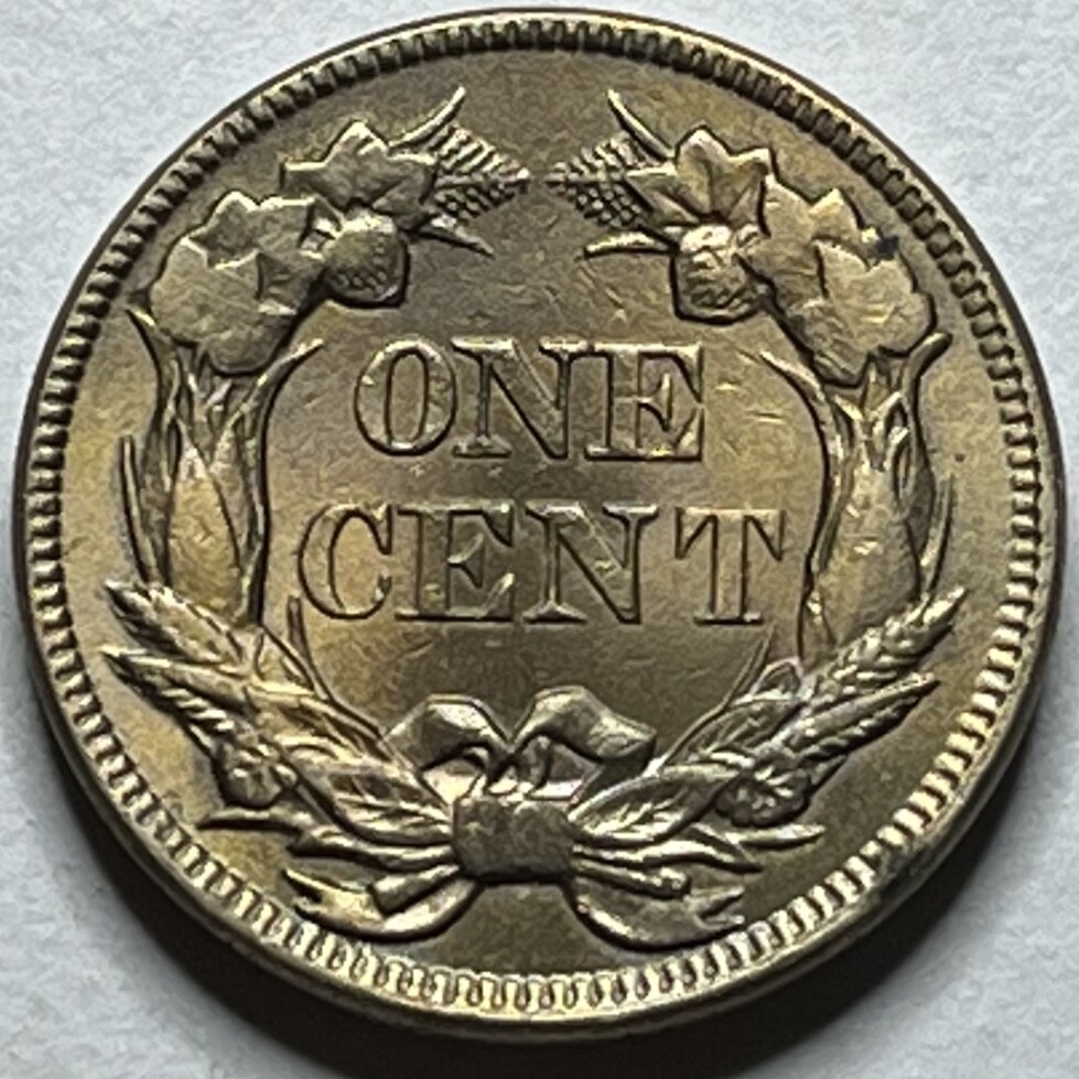 Grading-Thoughts-On-This-1857-Flying-Eagle-Cent