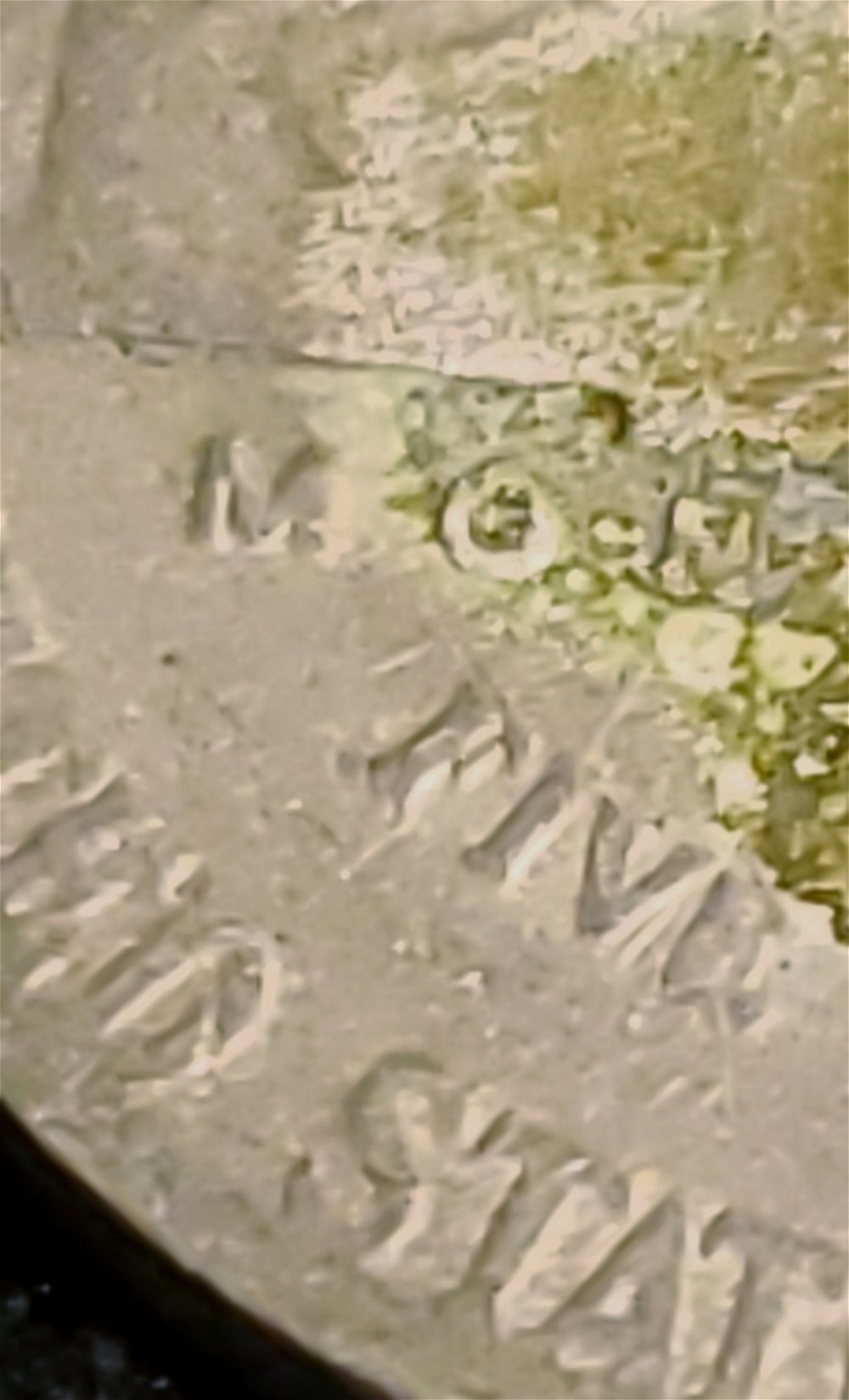 1941-Silver-Nickel-Struck-On-1942-Wartime-Plant?