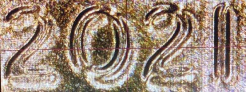 2021-Lincoln-Shield-Cent-Double-Die-Or-Double-Dont