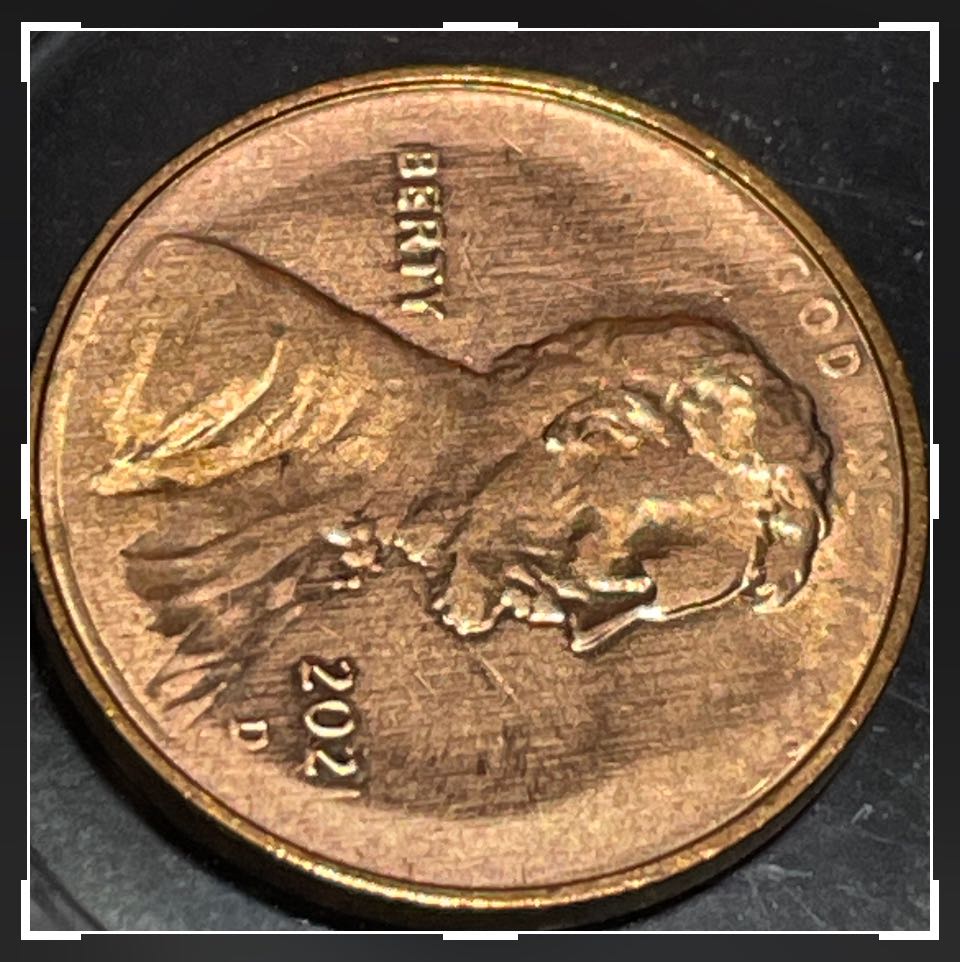 I-Bring-You-The-God-Coin!-Shield-2021-D-Mint-Mark.-Die-Wear-Or-Struck-Grease-/-Act-Of-God.who-Knows?