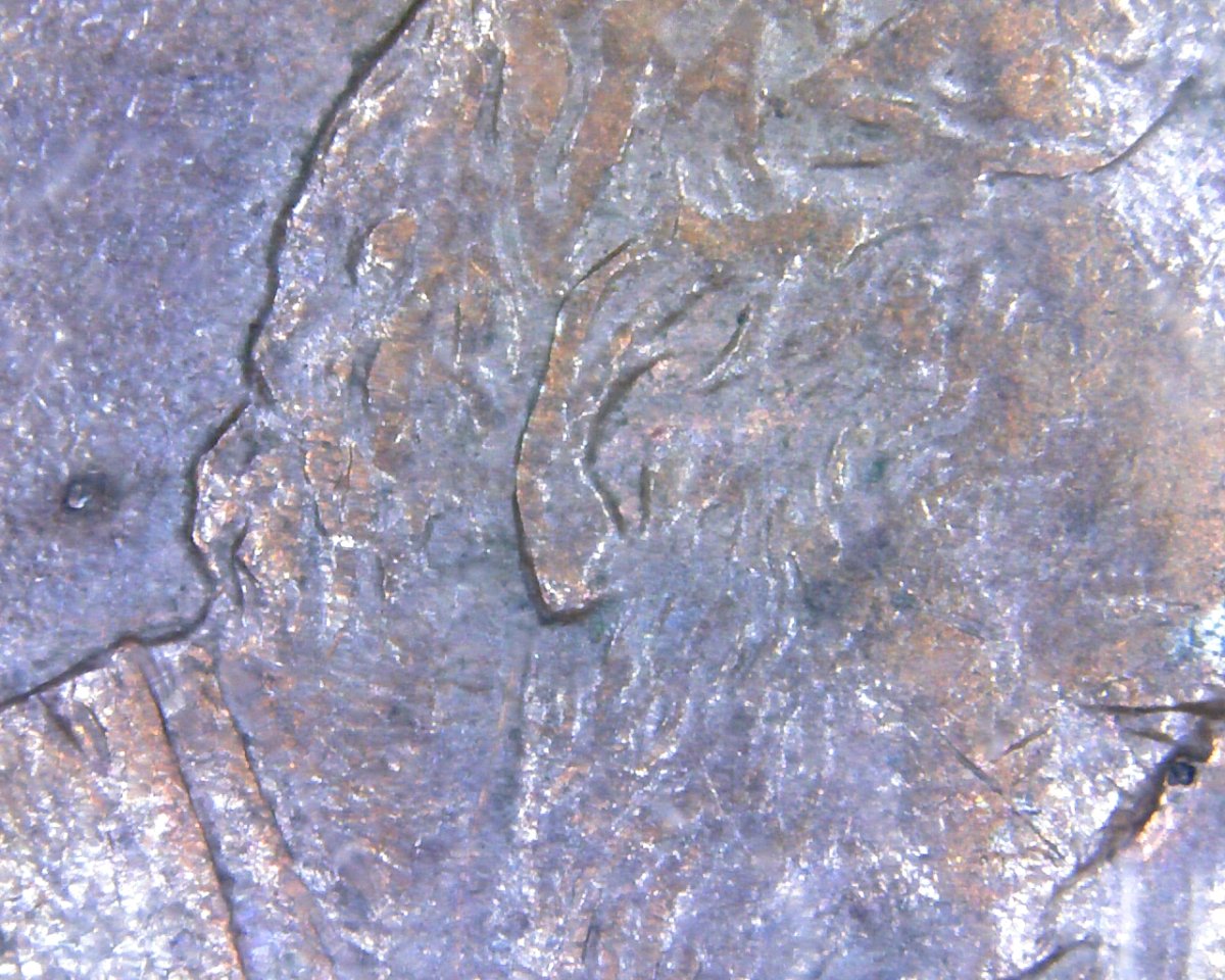 1996-LMC-Doubled-Ear.