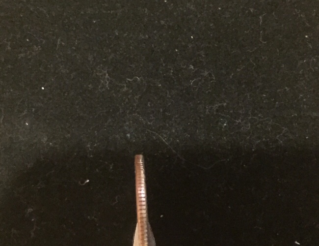 2003-D-Missouri-Quarter-Improperly-Annealed-Planchet?