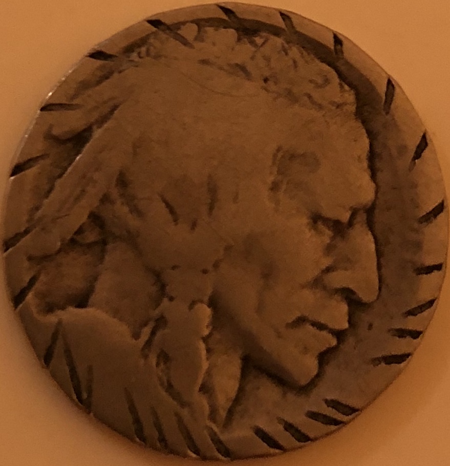 Buffalo-Coins-That-Needs-Grading