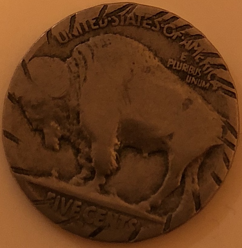 Buffalo-Coins-That-Needs-Grading