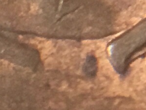 Help-Grading-1981-No-SD-2-Cent-Coin